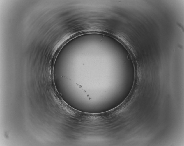 X0000102030933200807251348