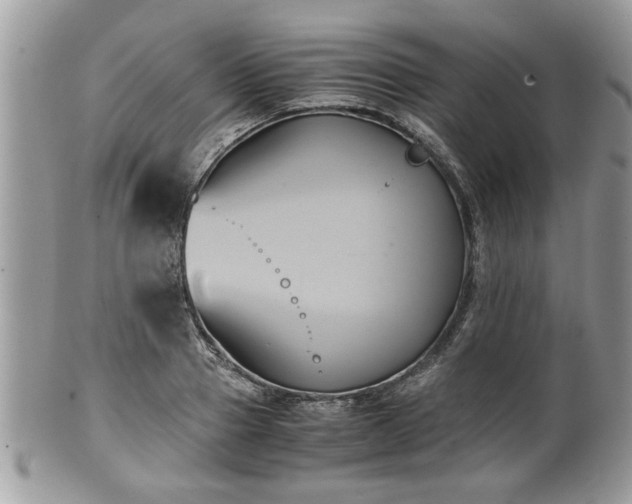 X0000102030937200807251348