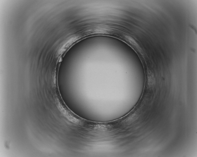 X0000102030938200807251348