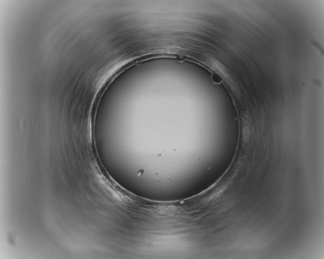 X0000102030940200807251348