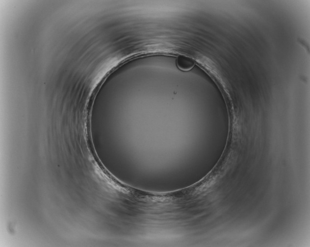 X0000102030941200807251348