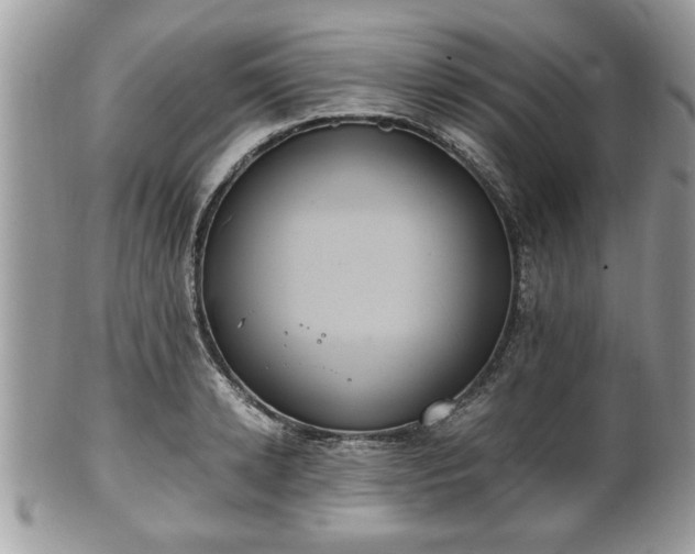 X0000102030942200807251348