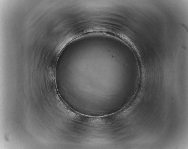 X0000102030945200807251348