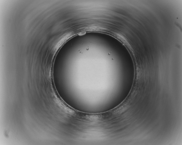 X0000102030946200807251348