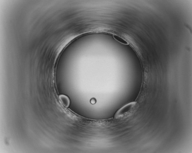 X0000102030948200807251348