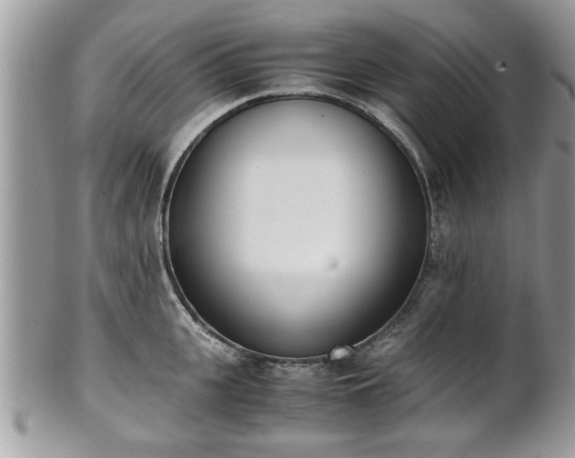 X0000102030951200807251348