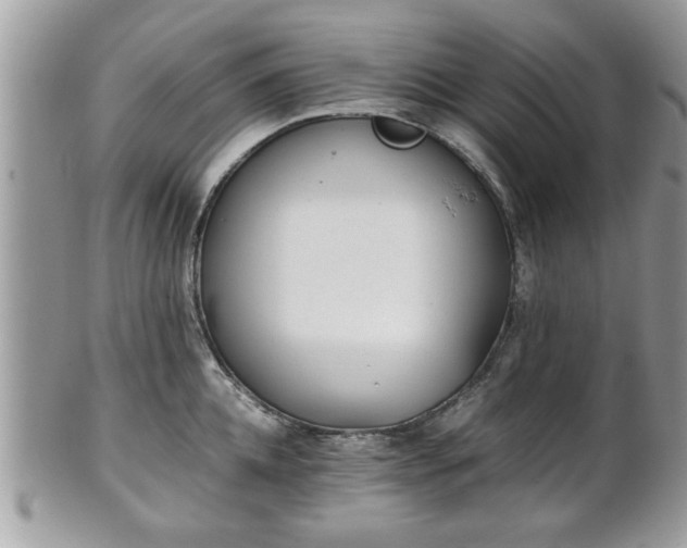 X0000102030952200807251348