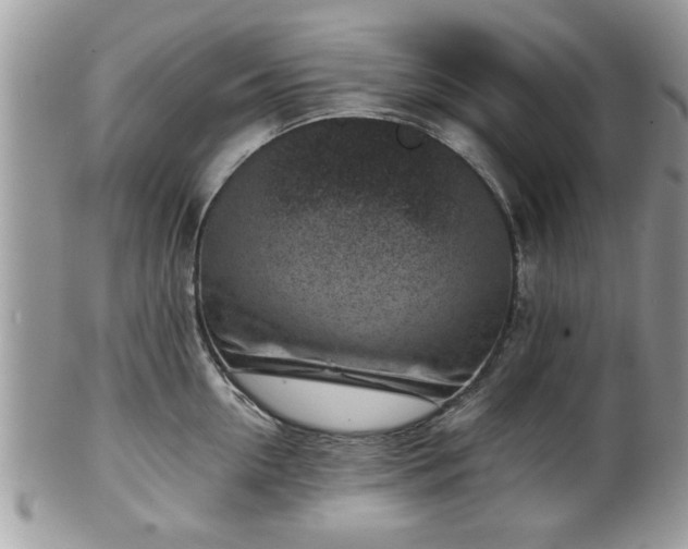 X0000102030954200807251348