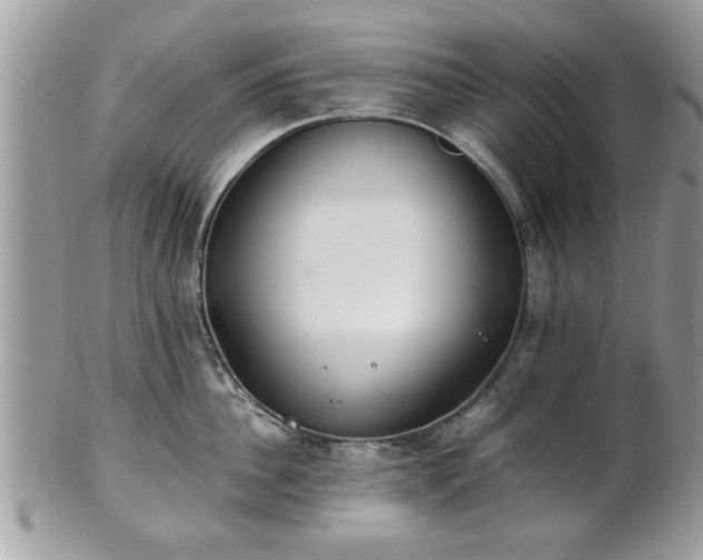 X0000102030956200807251348