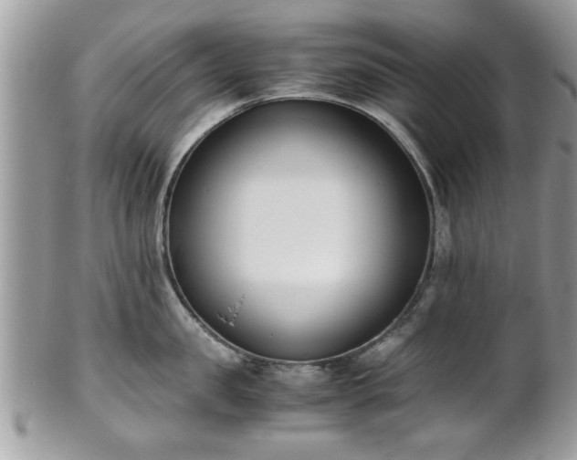 X0000102030957200807251348