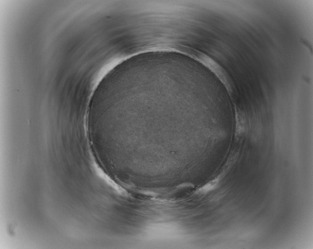 X0000102030958200807251348