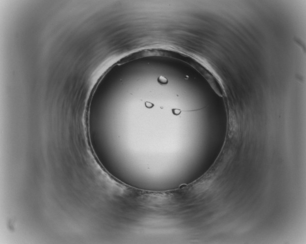 X0000102030959200807251348