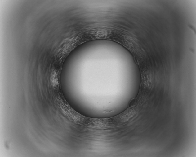 X0000102030962200807251348