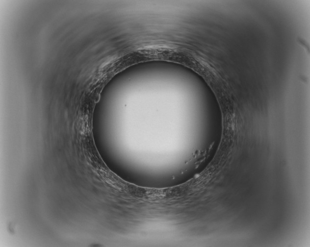 X0000102030965200807251348