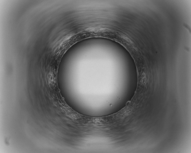 X0000102030966200807251348