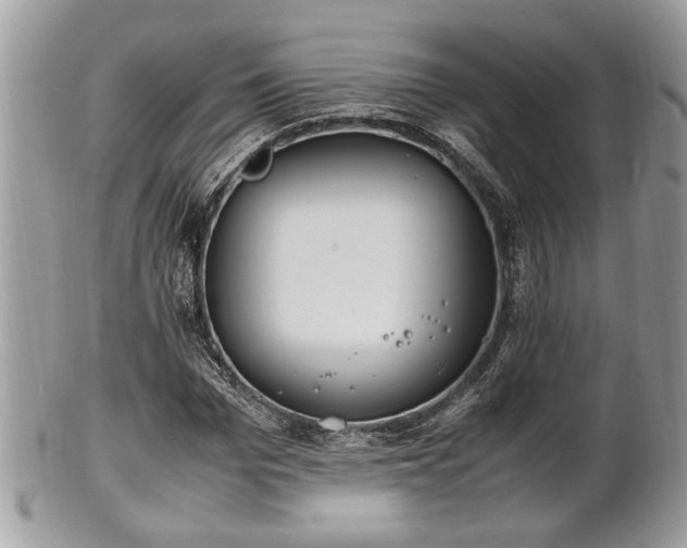 X0000102030969200807251347