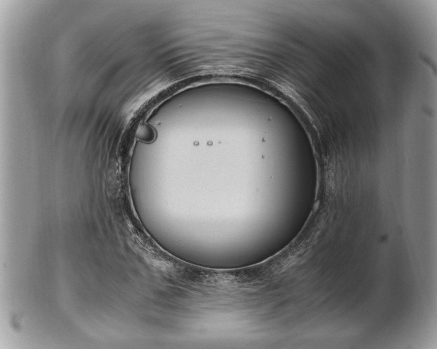 X0000102030971200807251347