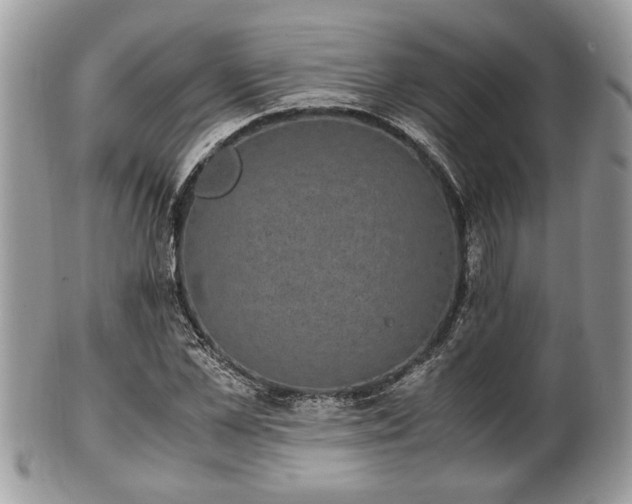 X0000102030973200807251347