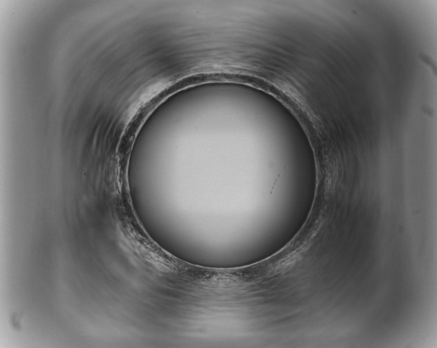 X0000102030974200807251347