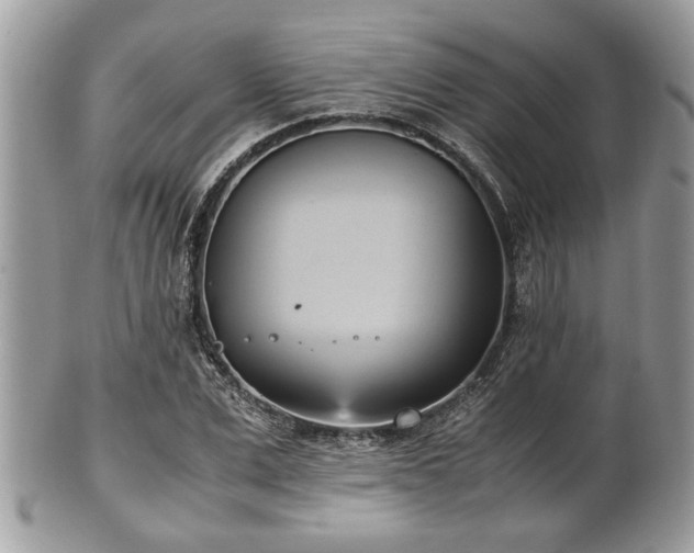 X0000102030975200807251347