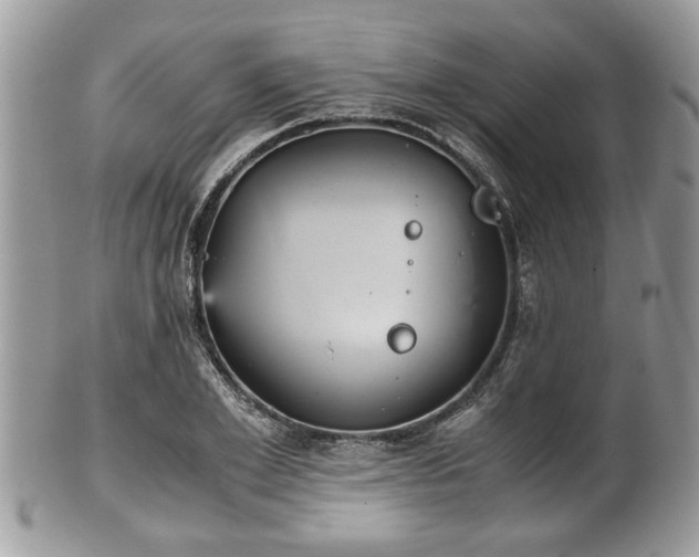 X0000102030981200807251347