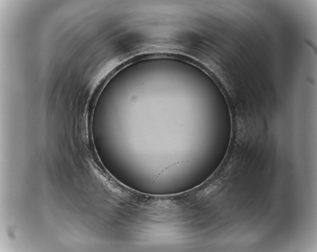 X0000102030982200807251347