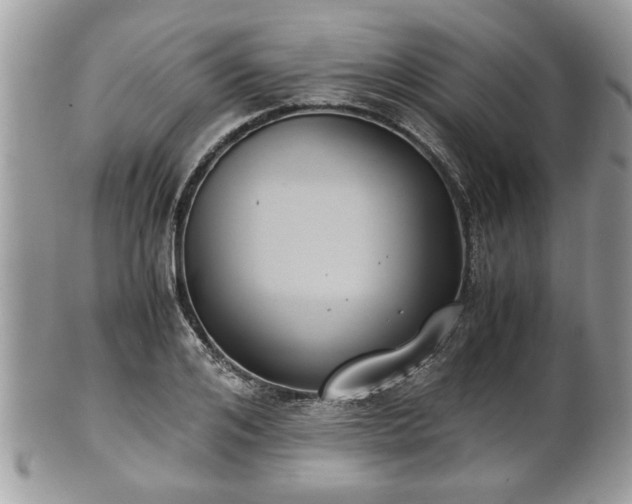 X0000102030984200807251347