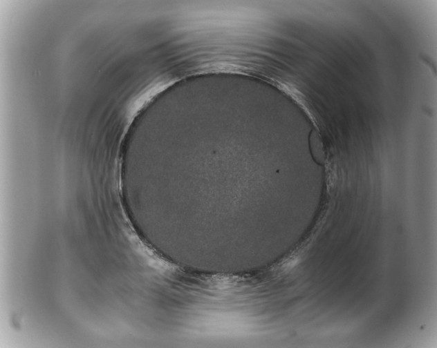 X0000102030987200807251347