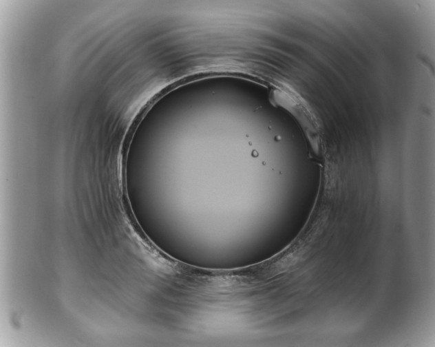 X0000102030988200807251347