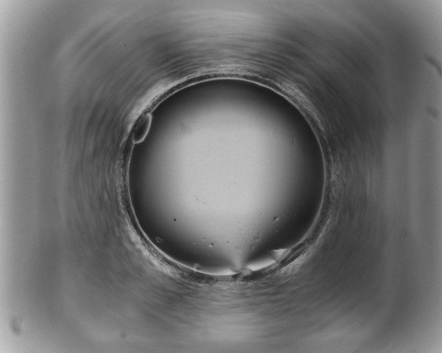 X0000102030989200807251347