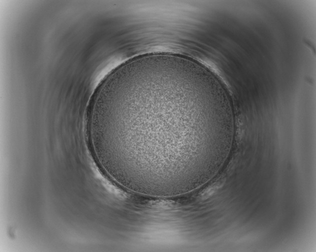 X0000102030991200807251347