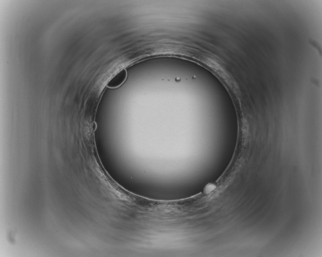 X0000102030993200807251347