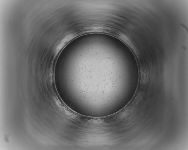 X0000102030994200807251347