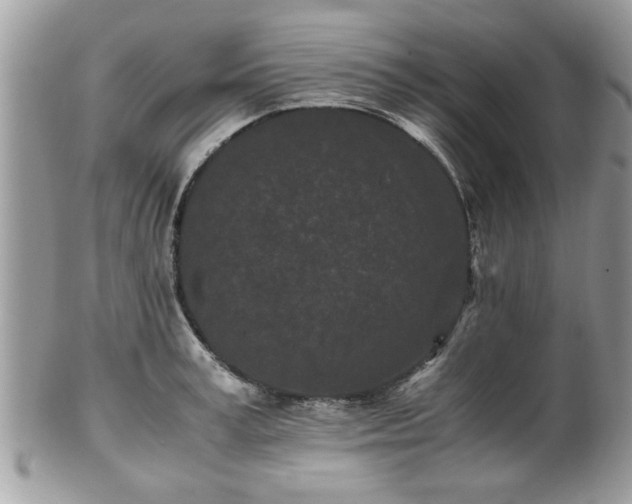 X0000102030995200807251347