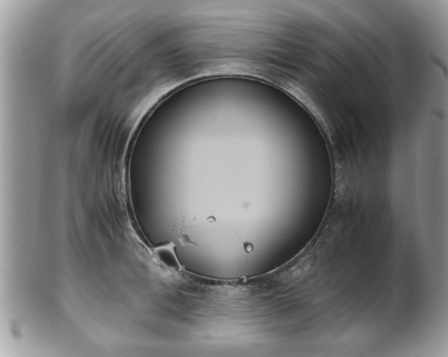 X0000102030996200807251347