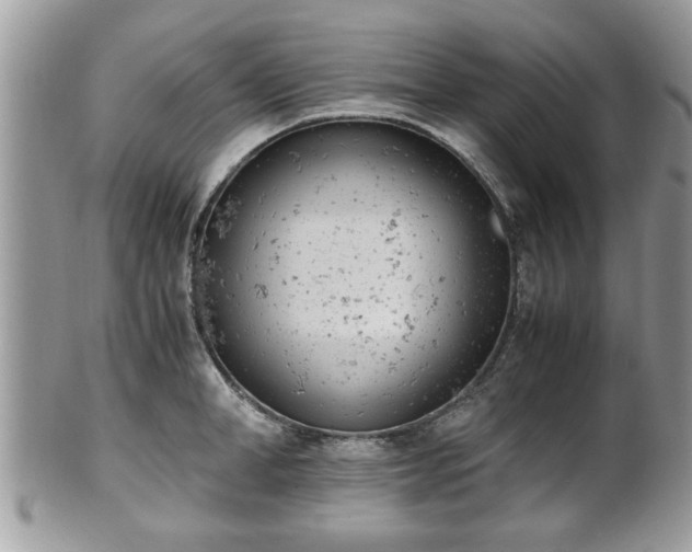 X0000102030998200807251347