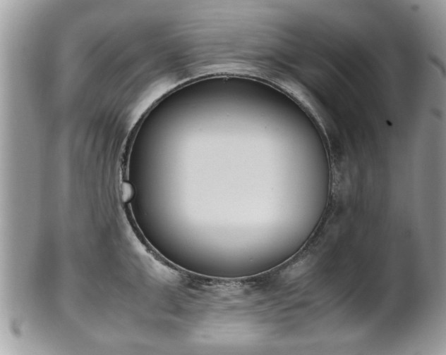 X0000102030999200807251347