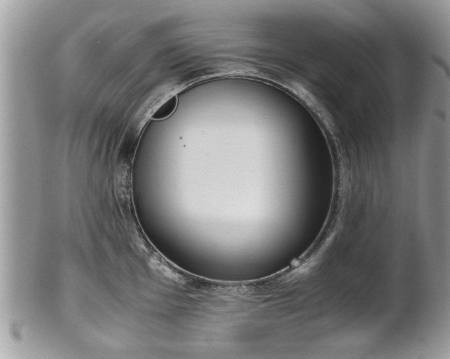 X0000102031001200807251347