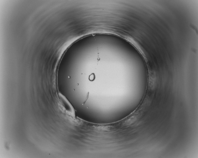 X0000102031004200807251347