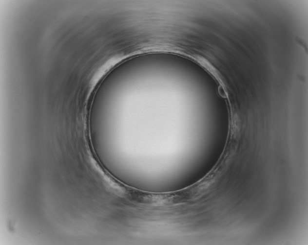 X0000102031005200807251347