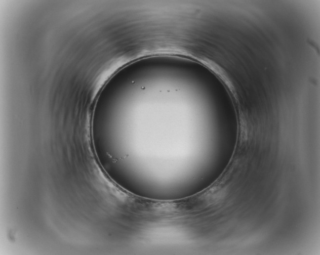 X0000102031006200807251347