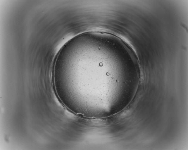 X0000102031007200807251347