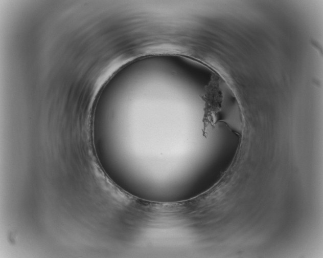 X0000102031008200807251347