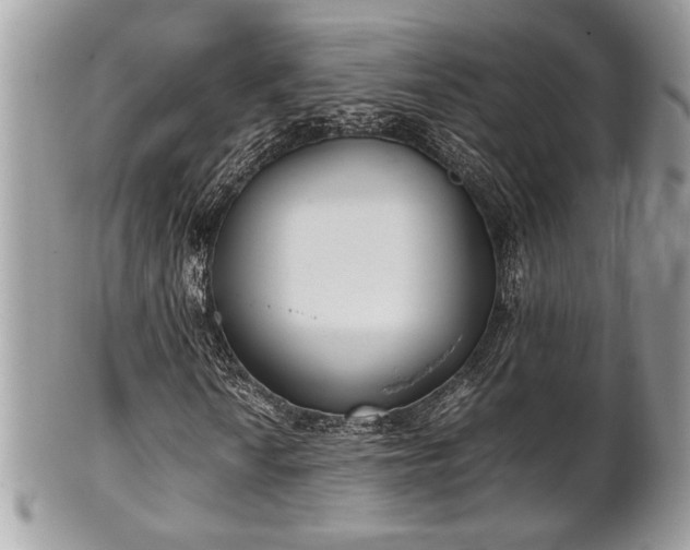 X0000102031010200807251346