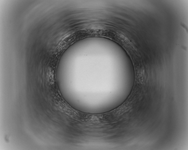 X0000102031013200807251346