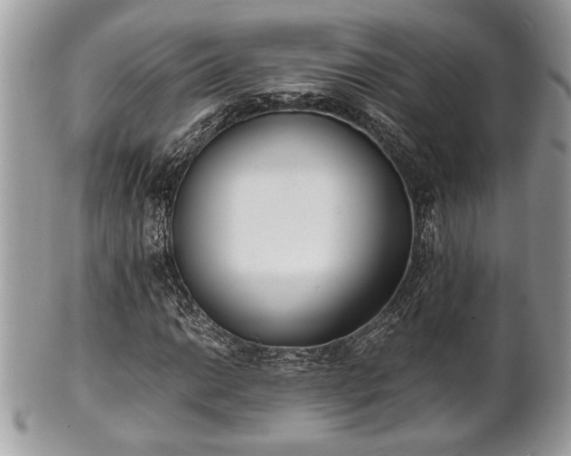 X0000102031014200807251346