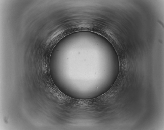 X0000102031015200807251346