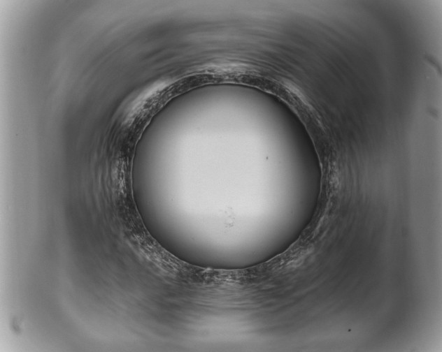 X0000102031016200807251346