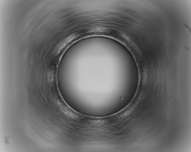 X0000102031017200807251346