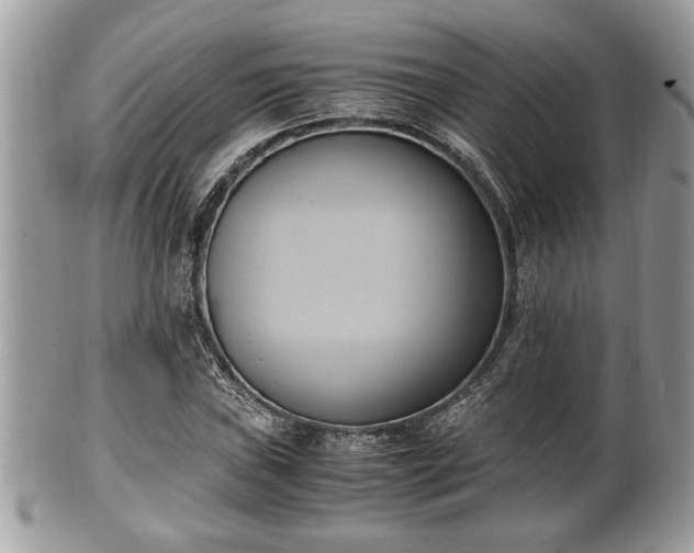 X0000102031019200807251346